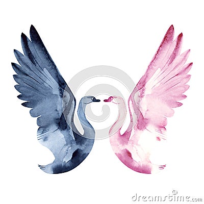 Watercolor two swans, valentines day, love, romance. Ballet Swan lake. Stock Photo
