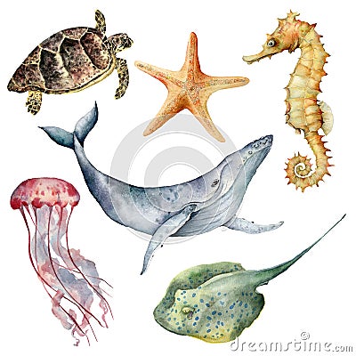 Watercolor underwater animals set. Hand painted whale, starfish, seahorse, stingray, jellyfish and turtle isolated on Cartoon Illustration