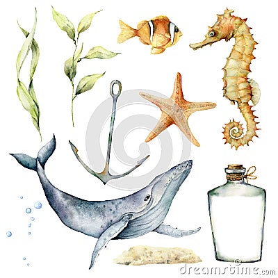 Watercolor underwater set. Hand painted whale, laminaria, anchor, starfish, seahorse and bottle isolated on white Cartoon Illustration