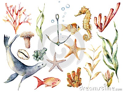 Watercolor underwater wildlife set. Hand painted coral reef, sea lion, tropical fish, anchor, seahorse and laminaria Cartoon Illustration