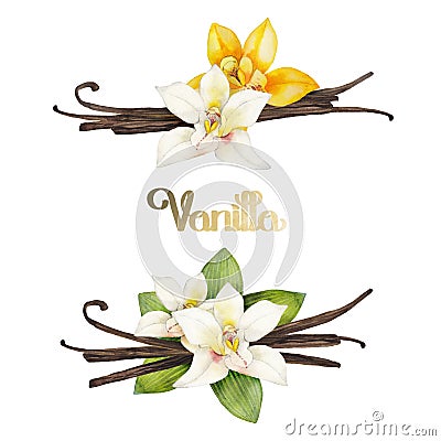 Watercolor vanilla vignettes Stock Photo