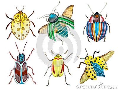 Watercolor vector beetles Vector Illustration