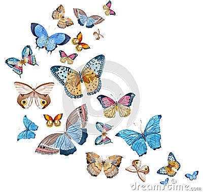 Watercolor vector butterflies Vector Illustration