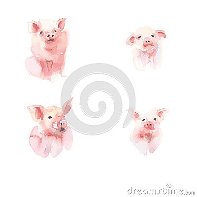 Watercolor vectors collection of little piggy. A variety of little piggy design. Vector Illustration