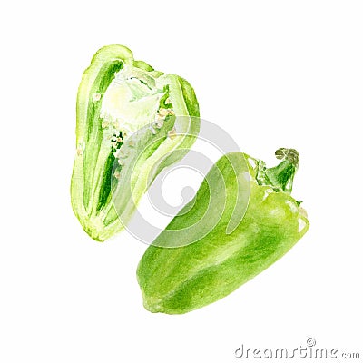 Watercolor vegetable bell pepper closeup isolated on white background. Slice of paprika. Stock Photo