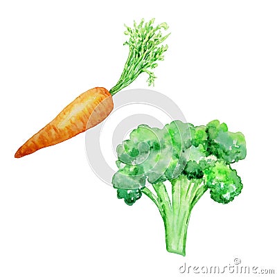 Watercolor vegetables carrots and broccoli Stock Photo