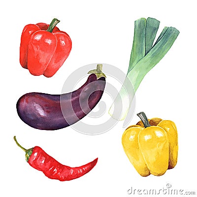 Watercolor vegetables Cartoon Illustration