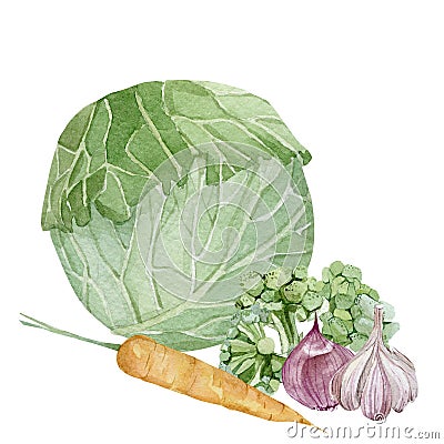 Watercolor vegeterian healthy food composition. Hand painted vegetable for design menu Stock Photo