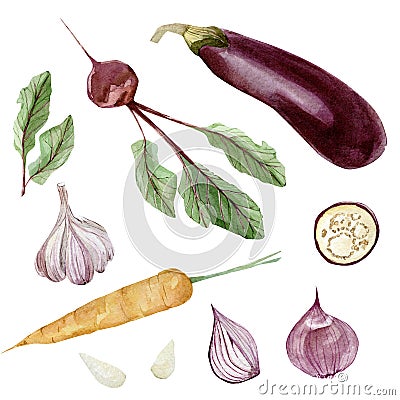 Watercolor vegeterian healthy food. Hand painted vegetable for design menu Stock Photo