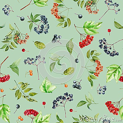 Watercolor viburnum, rowan and elder branches seamless pattern Stock Photo