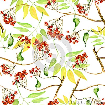 Watercolor viburnum, rowan and elder branches seamless pattern, hand painted on a white background. Branch, bunch of red berries Stock Photo