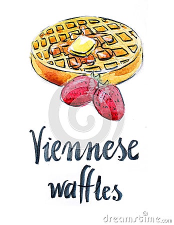 Watercolor Viennese waffles Vector Illustration