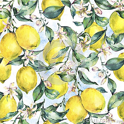 Watercolor vintage seamless pattern, branch of fruit lemon Cartoon Illustration