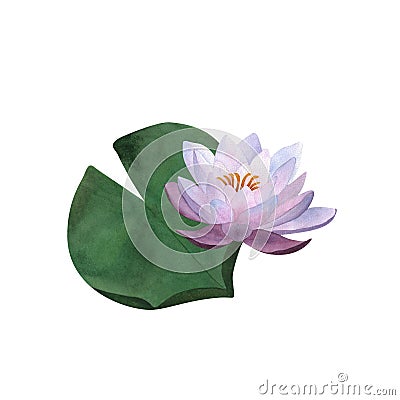 Watercolor violet waterlily and leaf for postcards, spa and yoga logos For Women's day 2024, birthday Floral Cartoon Illustration