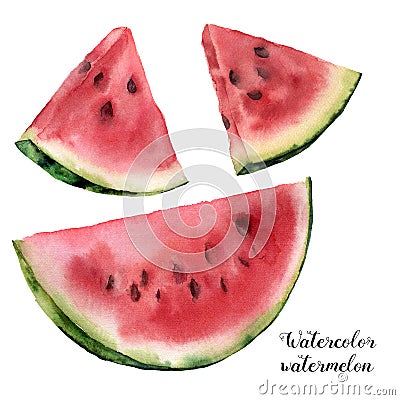 Watercolor watermelon set. Hand painted watermelon slice isolated on white background. Sweet dessert. Food illustration Cartoon Illustration