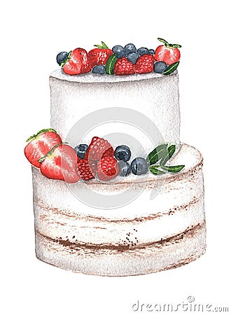 Watercolor wedding cake. Hand drawn illustration on white background . Perfect for invitation, wedding or greeting cards Cartoon Illustration