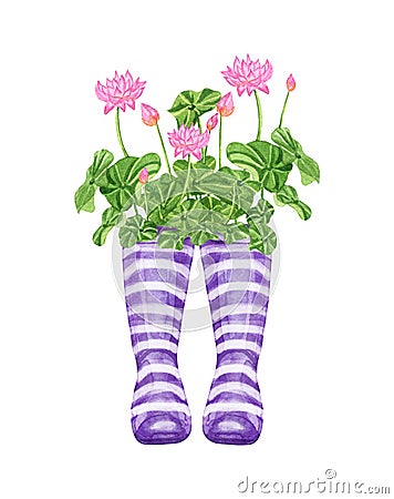 Watercolor wellies with flowers illustration in provence style. Rubber boots. Bouquet of flowers. Cartoon Illustration