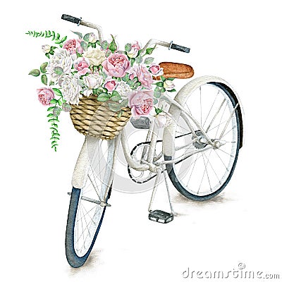 Watercolor white bicycle with roses Stock Photo