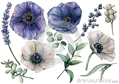 Watercolor white and blue floral set. Hand painted blue and white anemone, brunia berry, eucalyptus leaves, lavender Stock Photo