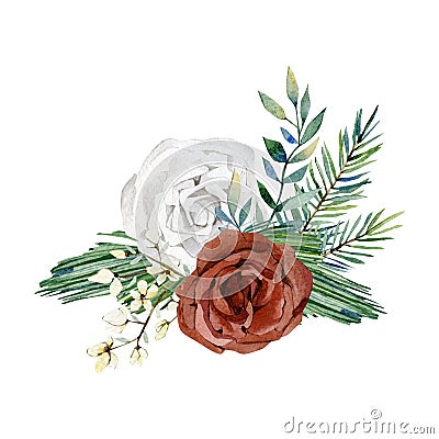 Watercolor white and burgyndy flower bouquet. Rose, fir branch, wild floral. Greenery bouquet Cartoon Illustration