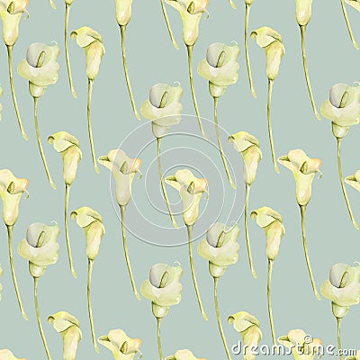 Watercolor white callas flowers seamless pattern Stock Photo