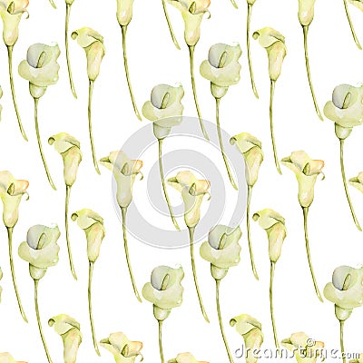 Watercolor white callas flowers seamless pattern Stock Photo