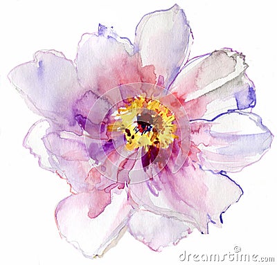 Watercolor white flower Cartoon Illustration