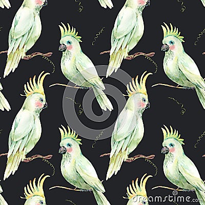 Watercolor white parrot seamless pattern. Vintage floral texture Cartoon Illustration