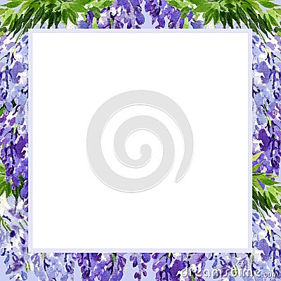 watercolor white square frame with branch of wisteria blossom flowers, hand drawn illustration with spring lilac flowers Cartoon Illustration