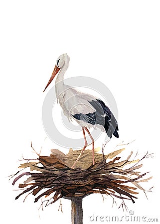 Watercolor white stork in the nest. Hand painted ciconia bird illustration isolated on white background. For design Cartoon Illustration