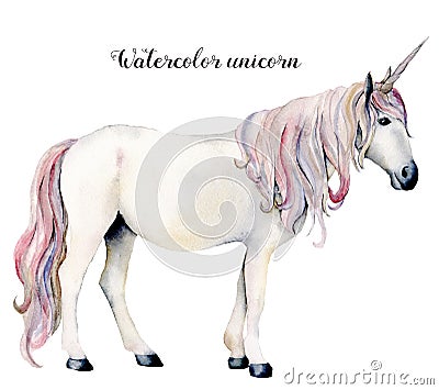 Watercolor white unicorn. Hand painted magic horse isolated on white background. Fairytale character illustration design Cartoon Illustration