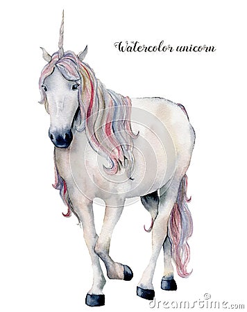 Watercolor white unicorn with rainbow hair. Hand painted magic horse isolated on white background. Fairytale character Cartoon Illustration