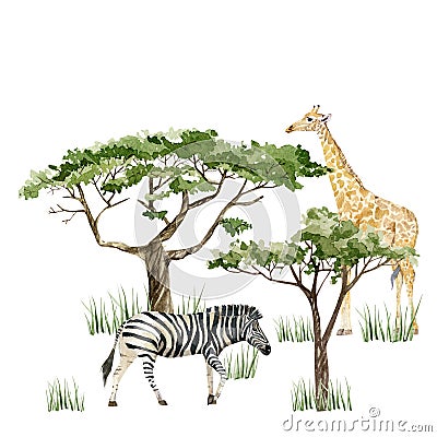 Watercolor wild Africa animal savannah Giraffe, Zebra and tree. Nature Africa for greeting card Stock Photo