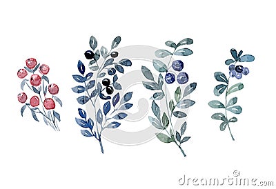 Watercolor wild berry set, forest fruit collection Stock Photo