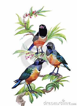 Watercolor wild exotic birds on flowers Vector Illustration