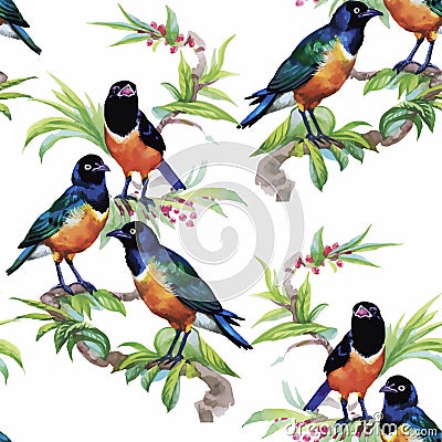 Watercolor Wild exotic birds on flowers seamless pattern on white background Vector Illustration