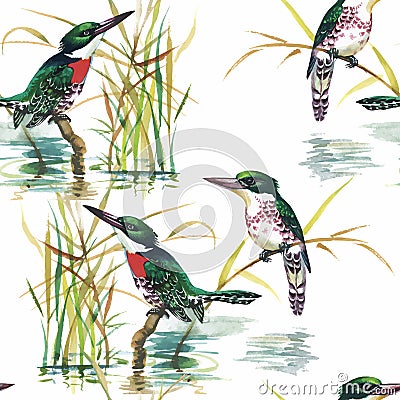 Watercolor Wild exotic birds on flowers seamless pattern on white background Vector Illustration