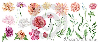 Watercolor wild floral elemens of green leaves, twigs, branches, foliage, rose, peony, chrysanthemum. Botanical set illustration Cartoon Illustration