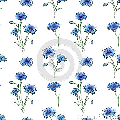 Watercolor wild flowers collection. Hand drawn illustration Stock Photo