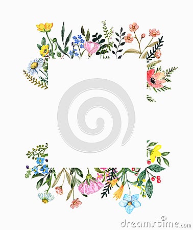 Beautiful wildflower square border with hand painted summer meadow flowers, herbs, grass, leaves, isolated on white background. Cartoon Illustration