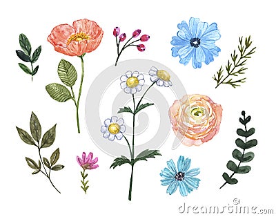 Watercolor summer floral set. Cute orange and blue wild flowers, green leaf, isolated on white background. Botanical elements Stock Photo