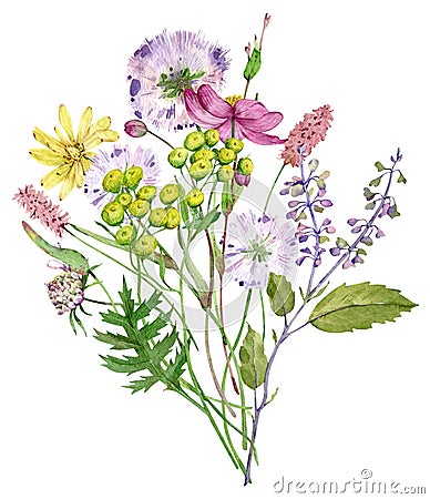 Watercolor wildflowers bouquet. Beautiful meadow flowers bunch. Floral arrangement. Cartoon Illustration