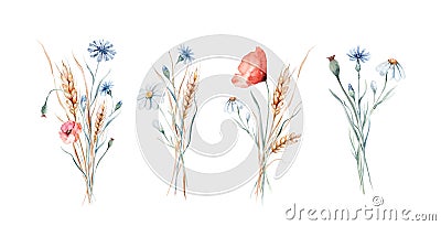 Watercolor wildflowers bouquets and frames with poppy cornflower chamomile, rye and wheat spikelets background Stock Photo