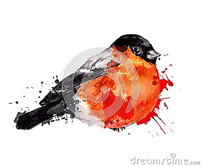 Watercolor winter bird - bullfinch Stock Photo