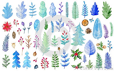 Watercolor winter evergreen plants Stock Photo