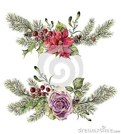 Watercolor winter floral elements isolated on white background. Vintage style set with christmas tree branches, rose Stock Photo