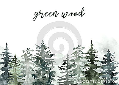 Watercolor winter forest background hand painted snowy green pine trees landscape on white backdrop. Christmas card design Cartoon Illustration