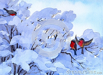 Watercolor winter scene. Bullfinch sitting on a snow-covered bra Stock Photo