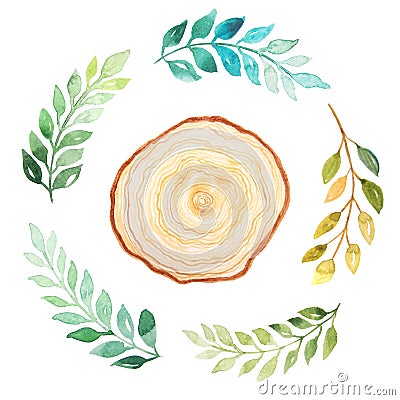 Watercolor wood slice with green branches Stock Photo