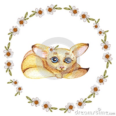 Watercolor wreath with chamomile and fox on a white background. Cartoon Illustration